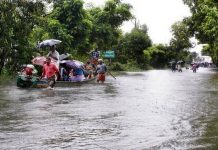 kuttanad facing flood due to heavy rain in Kerala