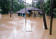 flood in kerala 2019