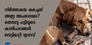 ഉത്തര്‍പ്രദേശിലെ സുഖന്‍പുര്‍വ ഗ്രാമത്തിലാണ് മനസാക്ഷിയെ ഞെട്ടിച്ച ഈ ദാരുണ സംഭവം നടന്നത്