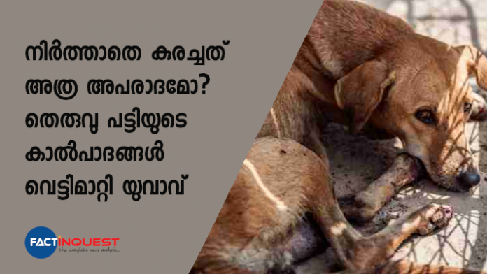 ഉത്തര്‍പ്രദേശിലെ സുഖന്‍പുര്‍വ ഗ്രാമത്തിലാണ് മനസാക്ഷിയെ ഞെട്ടിച്ച ഈ ദാരുണ സംഭവം നടന്നത്