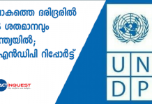 UNDP report