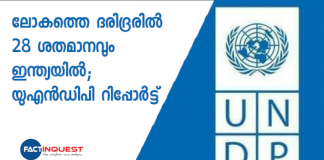 UNDP report