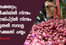 onion price hike