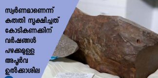 meteorite