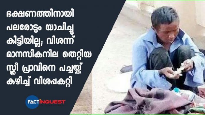 woman ate pigeon out of hunger