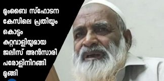 jelees ansary