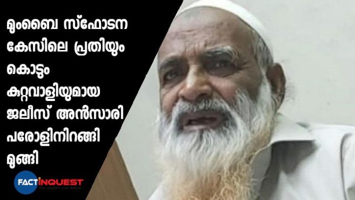 jelees ansary