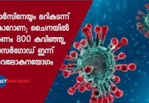coronavirus kills over 800 in china number exceeds sars deaths worldwide
