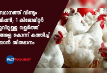 bird flue confirmed in kerala
