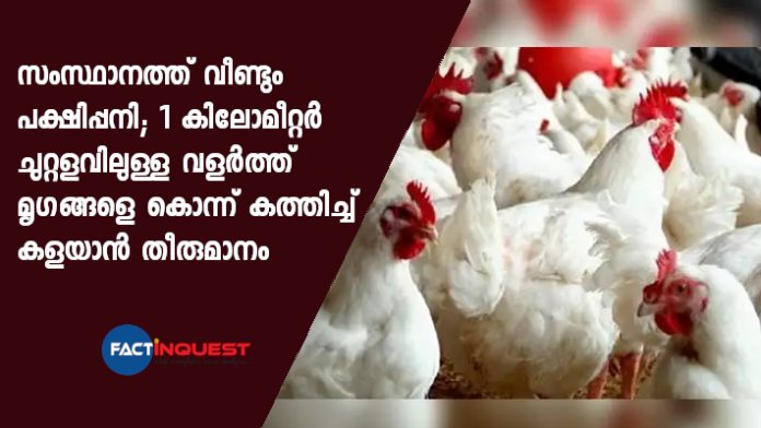 bird flue confirmed in kerala