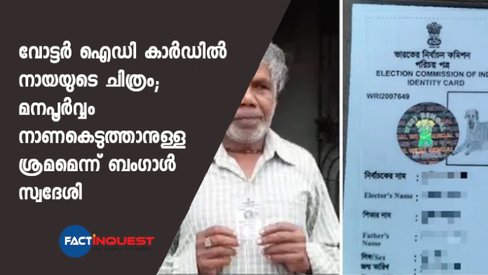 Bengal Man Issued Voter ID Card With Dog's Photo On It
