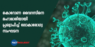 WHO declares coronavirus crisis a pandemic