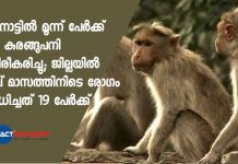 വയനാട്ടില് മൂന്ന് പേര്ക്ക് കൂടി കുരങ്ങുപനി സ്ഥിരീകരിച്ചു; ജില്ലയില് നാല് മാസത്തിനിടെ രോഗം ബാധിച്ചത് 19 പേര്ക്ക്