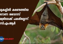 virus found in bats are not causing covid says ICMR