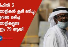 Three Malayalees died in gulf countries