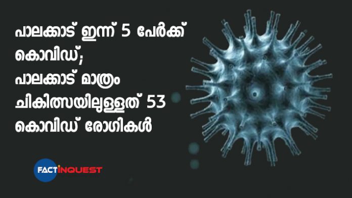5 more covid cases in Palakkad