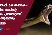 Kollam Anchal murder case