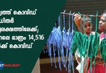 രാജ്യത്ത് കൊവിഡ് ബാധിതർ നാലുലക്ഷത്തിലേക്ക്; ഇന്നലെ മാത്രം 14,516 പേർക്ക് കൊവിഡ് India Sees Highest Single-Day Spike of 14,500, Death Toll Nears 13K