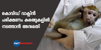 COVID-19 vaccine to be tested on 30 monkeys in NIV Pune, Forest Department gives its nod