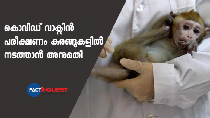 COVID-19 vaccine to be tested on 30 monkeys in NIV Pune, Forest Department gives its nod