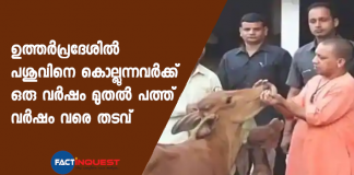 Yogi Government passes draft ordinance for cow protection to prevent slaughtering
