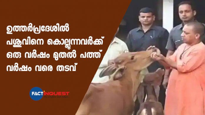 Yogi Government passes draft ordinance for cow protection to prevent slaughtering