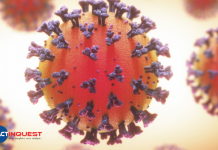 covid updates kerala