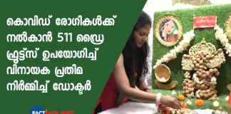 Ganesh Chaturthi: Surat doctor makes a Ganesha idol with dry fruits, will be put in a COVID-19 hospital