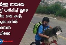 Video of a boy putting a face mask on his pet dog goes viral, gesture wins praise online