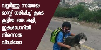 Video of a boy putting a face mask on his pet dog goes viral, gesture wins praise online