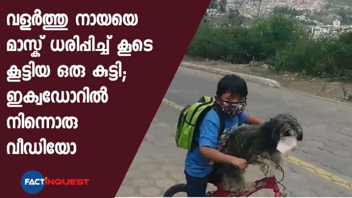 Video of a boy putting a face mask on his pet dog goes viral, gesture wins praise online