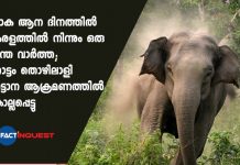 plantation worker killed in an elephant attack on Kerala