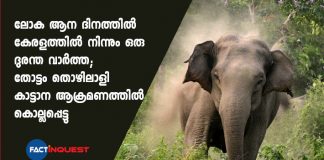 plantation worker killed in an elephant attack on Kerala