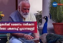 PM Narendra Modi shares video of 'precious moments' feeding peacocks during morning routine of exercises