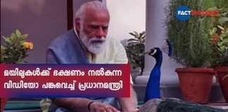 PM Narendra Modi shares video of 'precious moments' feeding peacocks during morning routine of exercises