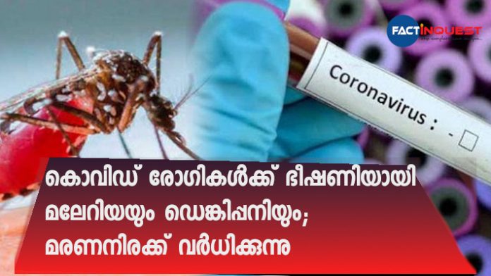 Dengue, malaria a new threat for Covid patients