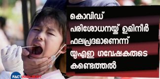 Saliva ‘just as effective’ as a nasal swab for COVID-19 testing, UAE research shows