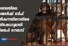 Assam BJP Leader Protests, Says No Beef For Tigers At Guwahati Zoo
