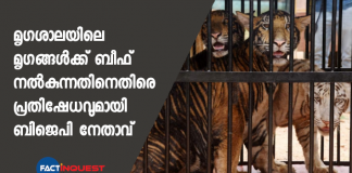 Assam BJP Leader Protests, Says No Beef For Tigers At Guwahati Zoo