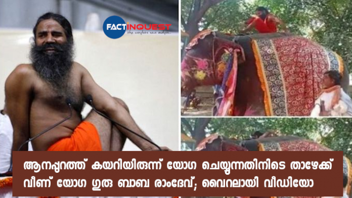 Baba Ramdev Falls Off Elephant While Trying to Perform Yoga Asanas, Video Goes Viral