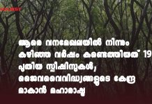 ആരെ വനമേഖലയിൽ നിന്നും കഴിഞ്ഞ വർഷം കണ്ടെത്തിയത് 19 പുതിയ സ്പീഷിസുകൾ; ജെെവവെെവിദ്ധ്യങ്ങളുടെ കേന്ദ്ര മാകാൻ മഹാരാഷ്ട്ര Maharashtra: 19 new species, records discovered in 2019; 2 from Aarey Forest