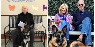Champ, Major, and other White House pets