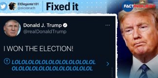 Donald Trump’s ‘I WON THE ELECTION’ tweet is now the most popular meme on social media