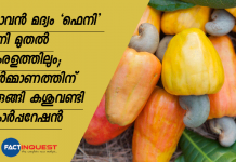 ഗോവൻ മദ്യം ‘ഫെനി’ ഇനി മുതൽ കേരളത്തിലും; നിർമ്മാണത്തിനൊരുങ്ങി കശുവണ്ടി കോർപ്പറേഷൻ cashew corporation ready to produce feni
