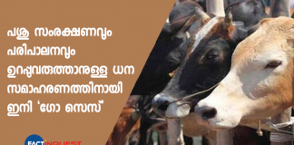 cow cess to implement protect and conserve cows in Madhya Pradesh