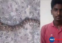 Man held in connection with python death in Thrissur