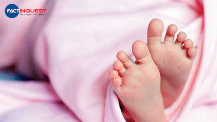 Nine newborns die in Kota's JK Lon hospital in 24 hours 