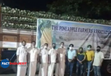 Kerala Farmers Send 16 Tonnes Of Vazhakulam Pineapple To Farmers Protesting In Delhi