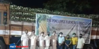 Kerala Farmers Send 16 Tonnes Of Vazhakulam Pineapple To Farmers Protesting In Delhi