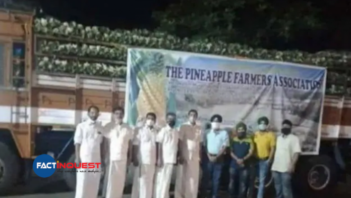 Kerala Farmers Send 16 Tonnes Of Vazhakulam Pineapple To Farmers Protesting In Delhi